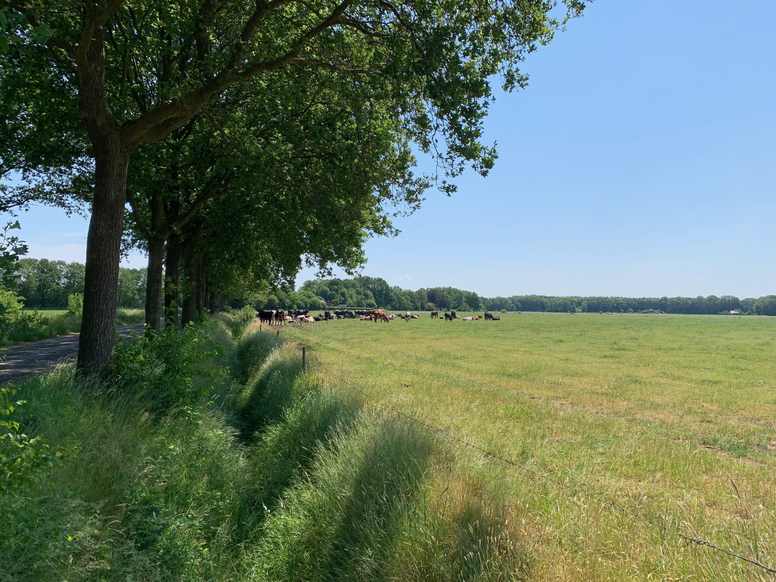 Actueel - bedrijfsbezoeken (3)